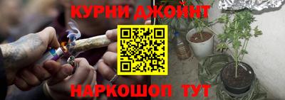 гашик Жуковский