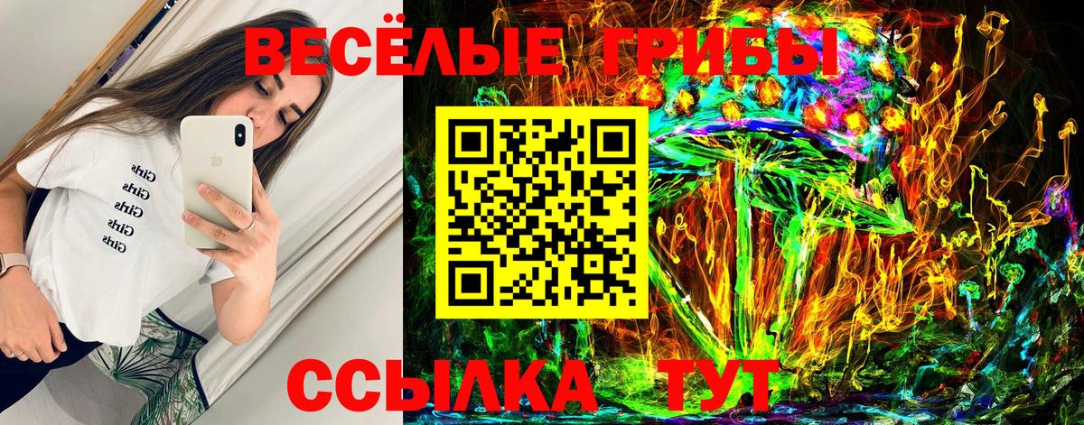 Георгиевск  Галлюциногенные грибы Psilocybe  Вход с VPN 