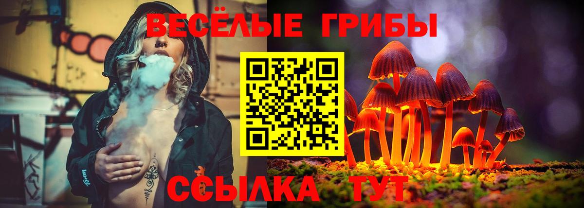 Псилоцибиновые грибы мухоморы Георгиевск